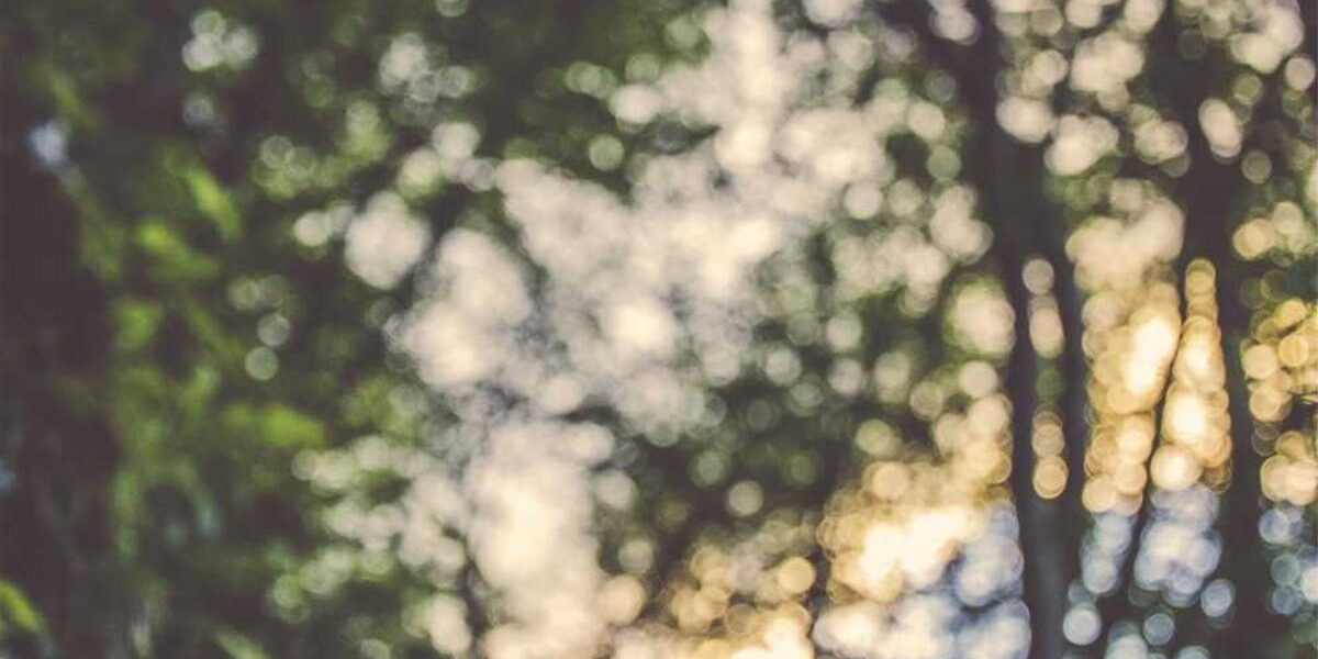 How to Prevent Electrical Shocks in Your Home